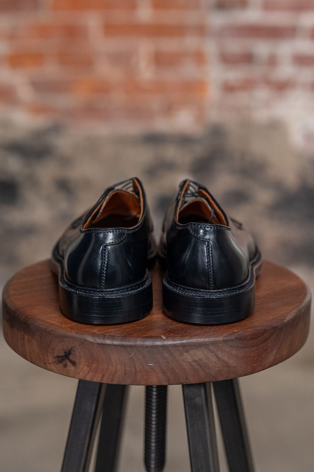 alden plain toe bluchers - back view