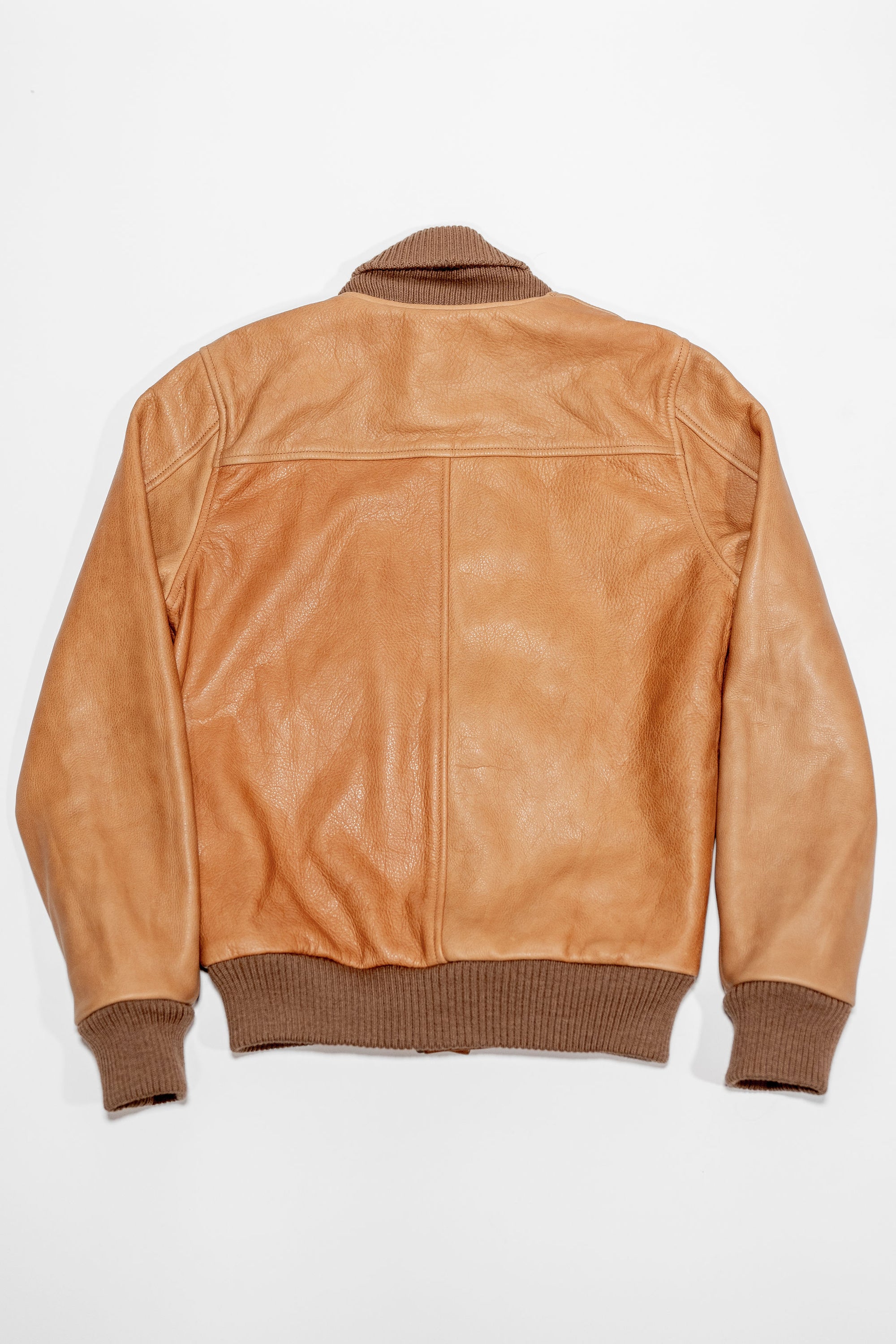 Dehen 1920 All-City Leather Jacket - Rust. laid on face