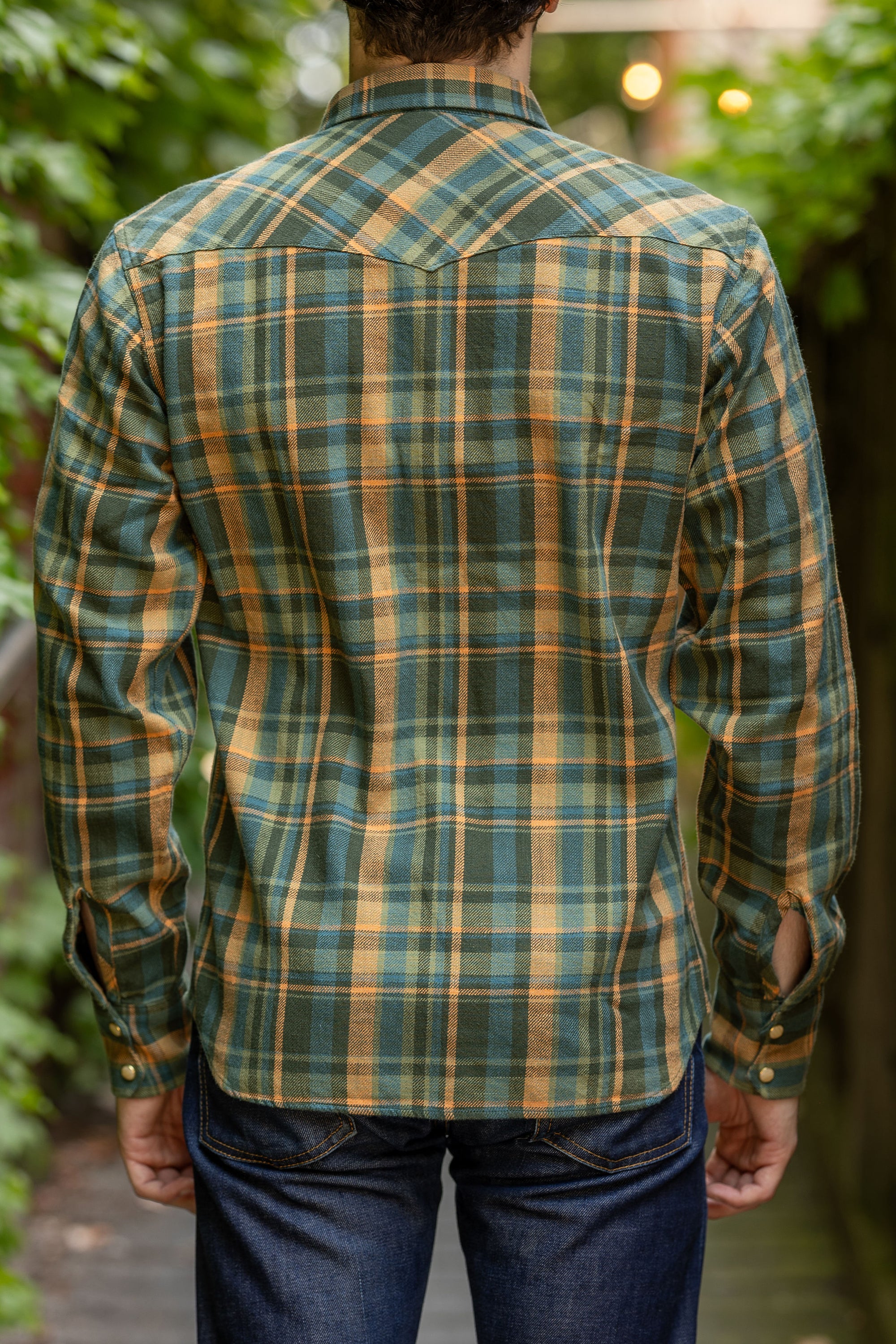 Indigofera Dollard - Twill Check